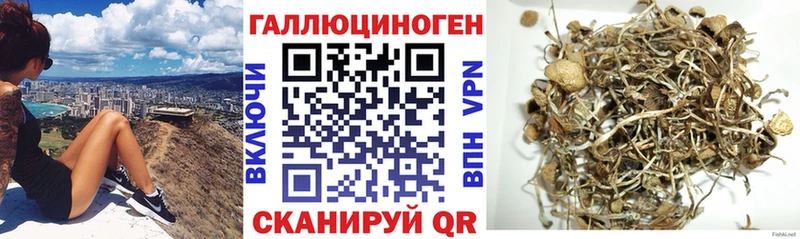 наркотики  Ильский  МЕГА сайт  Галлюциногенные грибы ЛСД 